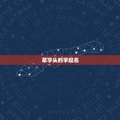 草字头的字起名，草字头的字有哪些适合做名字