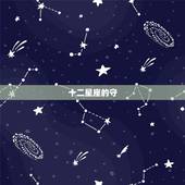 十二星座的守，十二星座代表的叶罗丽