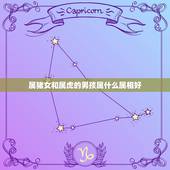 属猪女和属虎的男孩属什么属相好，男属猪女属虎生什么属相宝宝好