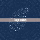 12星座代表的花，小花吉祥的花语是什么