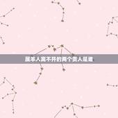 属羊人离不开的两个贵人是谁 属羊人的贵人属相