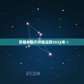 苏珊米勒天秤座运势2023年，2023 天秤座全年运势女