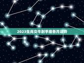2023生肖女牛射手座各月运势，73年属牛人2023年运势