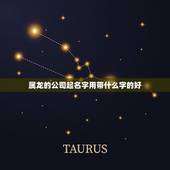 属龙的公司起名字用带什么字的好(如何为属龙公司取一个好名字)