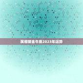 属相猪金牛座2023年运势，金牛座2023年运势