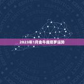 2023年1月金牛座塔罗运势，2023年生肖运势大全
