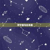 双子座对什么星座最配(星座配对大介绍)