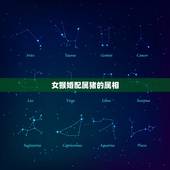 女猴婚配属猪的属相，属猴女的和什么属相最配最合适呢