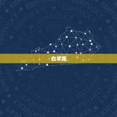 十二星座逻辑思维排行(哪个星座最聪明)