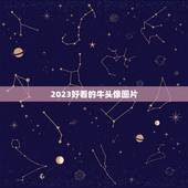 2023好看的牛头像图片，求图灯的冷彻头像图片更多更多图片