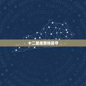 十二星座奥特曼守，日本 十二星座的假面