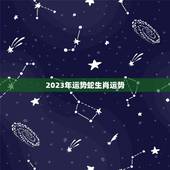 2023年运势蛇生肖运势，麦玲玲属猪人2023年运势运程？