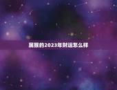 属猴的2023年财运怎么样