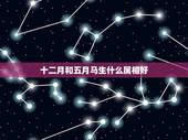 十二月和五月马生什么属相好，属蛇的和属马的要个什么孩子好