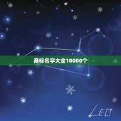 商标名字大全10000个，商标取名字大全三个字