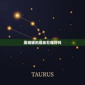 属相猪的朋友石榴好吗，属相是猪佩戴什么玉最合适