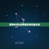 属猴的什么属相最配相克最合适(如何选择配对)