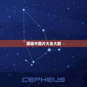 国画牛图片大全大图，画牛的图片颜色搭配