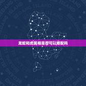 龙蛇和虎属相是否可以婚配吗，属虎和属蛇的婚配好不好