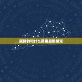 属猪的和什么属相最配相克，属猪和什么属相相冲