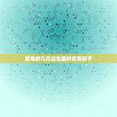 属兔的几月出生最好命男孩子，生肖查询：属兔的几月出生最好