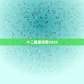 十二星座运势2023，2023 年运势更好的星座女