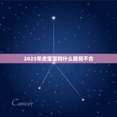 2023年虎宝宝和什么属相不合，虎宝宝忌什么属相父母