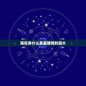 现在养什么鱼最赚钱利润大，淡水养什么鱼最赚钱