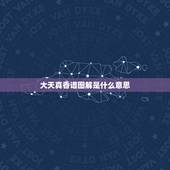 大天真香谱图解是什么意思，烧5只香图解大天真