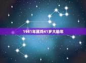 1981年属鸡41岁大劫年 81年属鸡哪年转大运