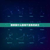 搬家属什么属相不宜养虎皮兰，哪些人不宜养虎皮兰 才听说家有男孩不宜养，