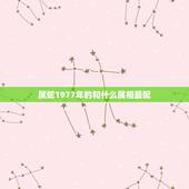 属蛇1977年的和什么属相最配，属蛇的和什么属相最配