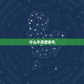 什么牛是苦命牛，属牛1985年出生是什么命