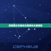 男属猴白羊座和女属猪处女座婚配，男属猴女属猪配吗？