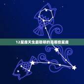 12星座天生最聪明的是哪些星座，12星座谁最容易早恋