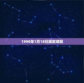 1990年1月18日属蛇婚配，计算生辰八字：1990年1月18日15时