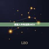 属鼠人牛年运势2023，1972年属鼠的未来10年运势