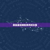 属鼠最佳婚配男鸡和女猴，属鼠的男和属鸡的女相配吗