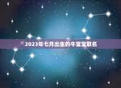 2023年七月出生的牛宝宝取名，2023年牛年几月出生的孩子最好命