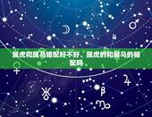 属虎和属马婚配好不好、属虎的和属马的相配吗