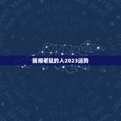 属相老鼠的人2023运势，属鼠人2023年每月运势运程每月