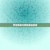 男性属相马婚配最佳属相，属马男和属马女相配吗