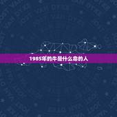 1985年的牛是什么命的人，1985年出生是什么命