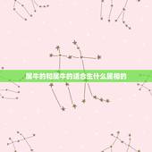 属牛的和属牛的适合生什么属相的，属牛的和什么属相最配