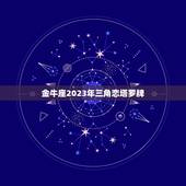 金牛座2023年三角恋塔罗牌，金牛座2023年的爱情运势如何