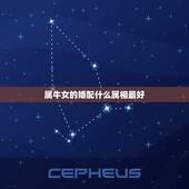 属牛女的婚配什么属相最好，女人生肖属牛和什么生肖婚配最好