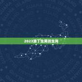 2023添丁生男孩生肖，2023年必定生男孩的生肖