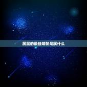 属鼠的最佳婚配是属什么，属鼠的和什么属相最配，属鼠的属相婚配表女，属鼠