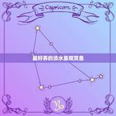 最好养的淡水鱼观赏鱼，家里养什么鱼最好