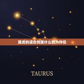 属虎的适合找属什么的为伴侣，属虎的人和什么属相的最配